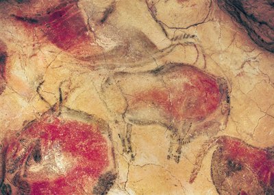 Bisons, from the Caves at Altamira by Prehistoric